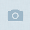 alexander_2023